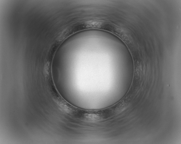 X0000071930649200607212135