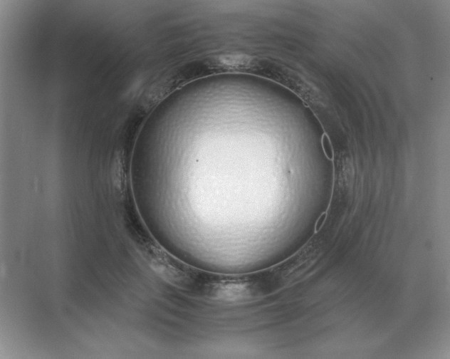 X0000071930651200607212135