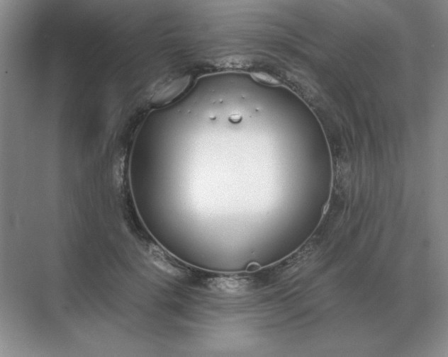 X0000071930652200607212135
