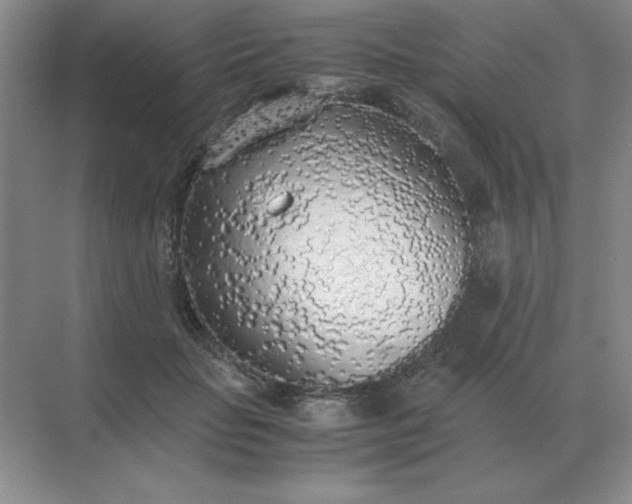 X0000071930653200607212135