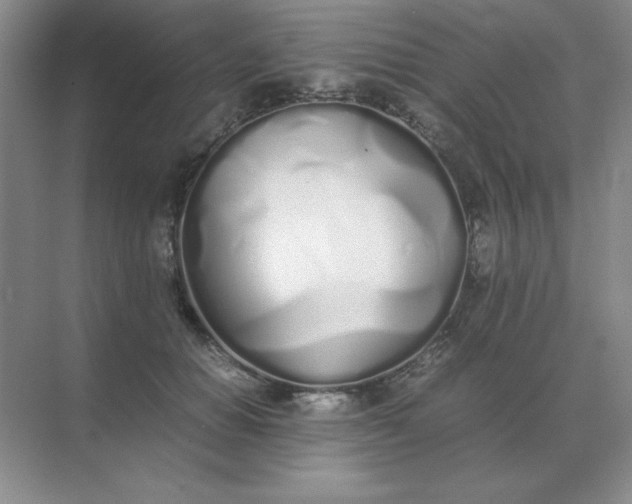 X0000071930654200607212135