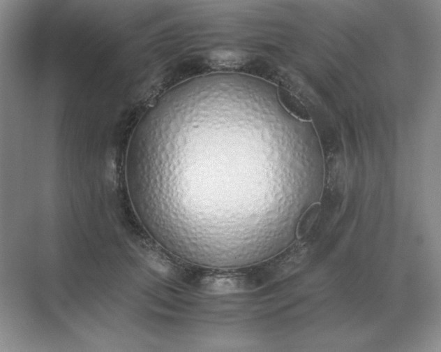 X0000071930655200607212135