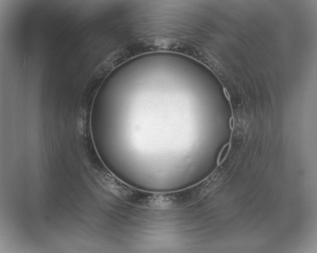 X0000071930656200607212135