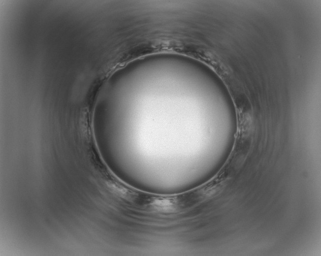 X0000071930659200607212135