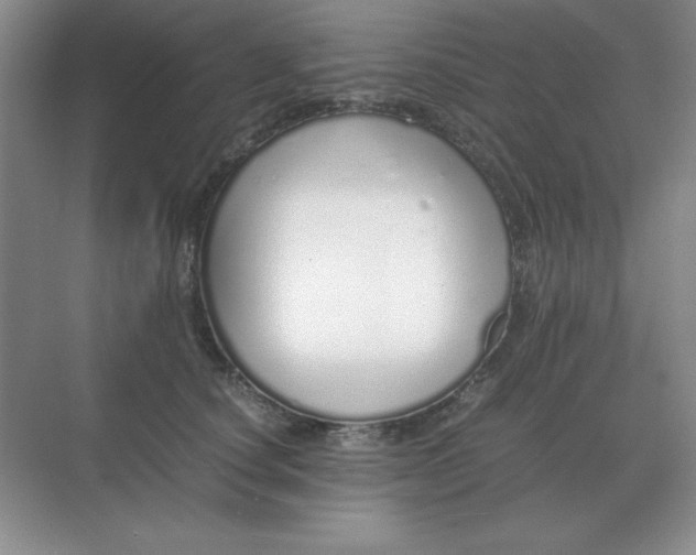 X0000071930660200607212135