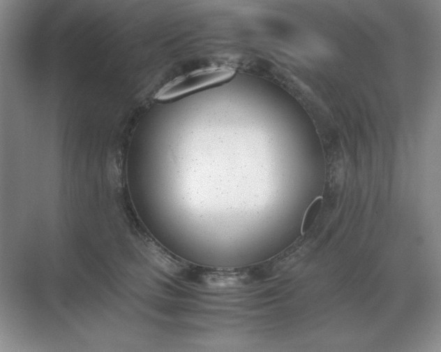 X0000071930661200607212135