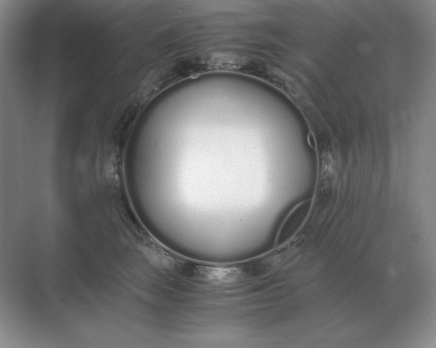 X0000071930663200607212135