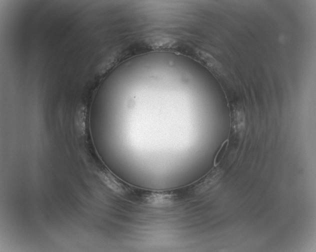 X0000071930664200607212135