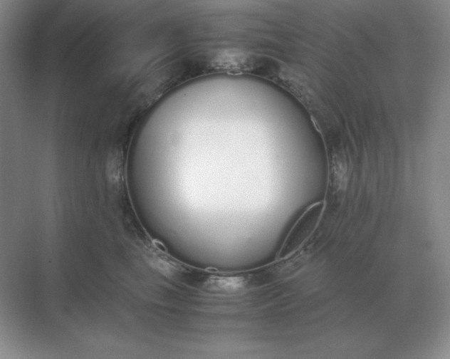 X0000071930665200607212135