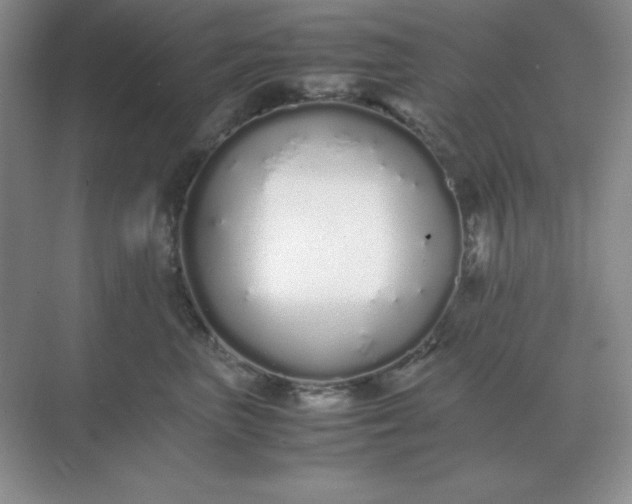 X0000071930667200607212135