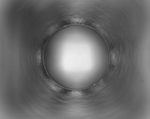 X0000071930668200607212135