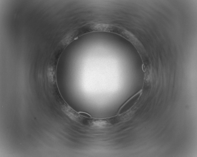X0000071930669200607212135
