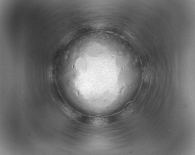 X0000071930670200607212135