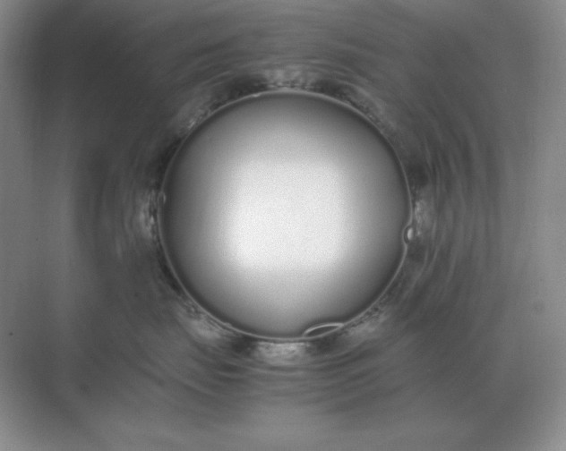X0000071930671200607212135