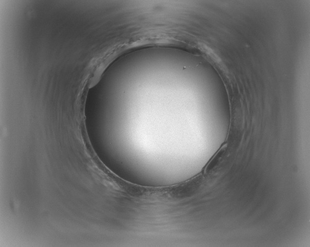 X0000071930673200607212135