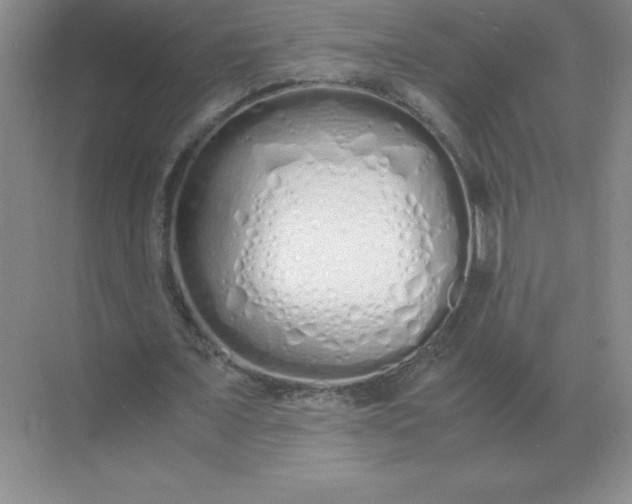X0000071930675200607212135