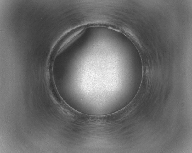 X0000071930676200607212135