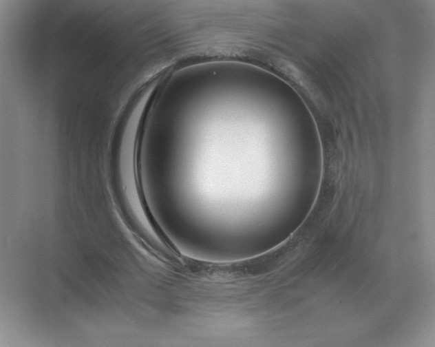X0000071930677200607212135