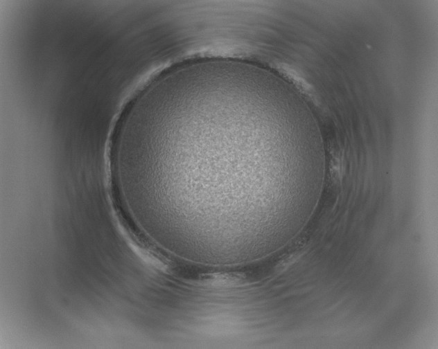 X0000071930678200607212135