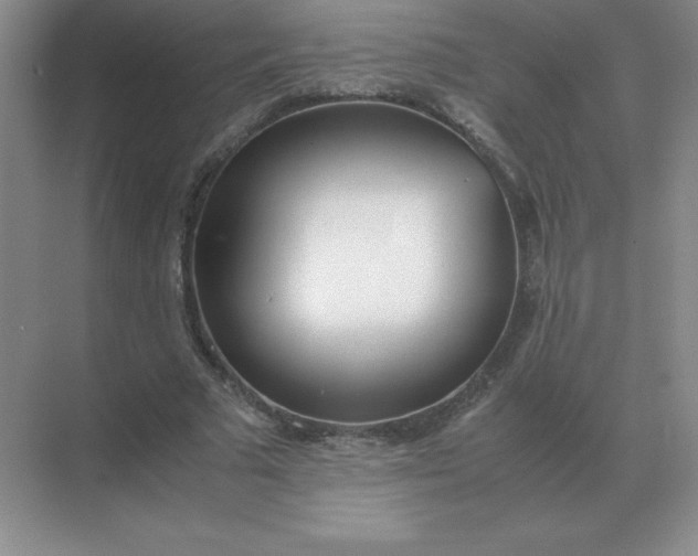 X0000071930681200607212134