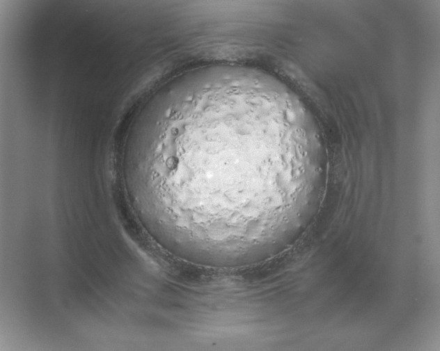 X0000071930683200607212134