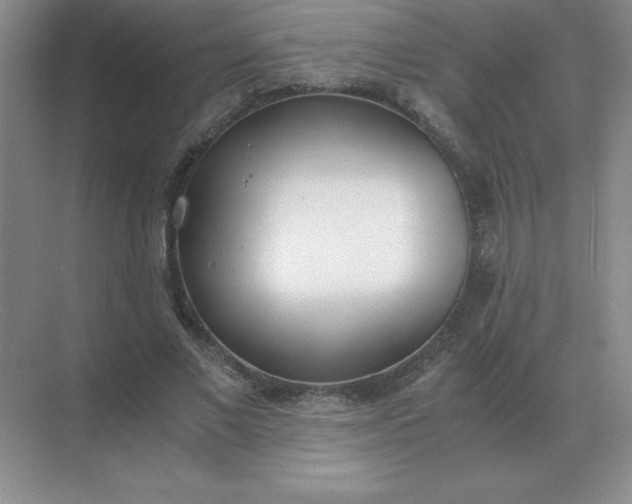 X0000071930685200607212134