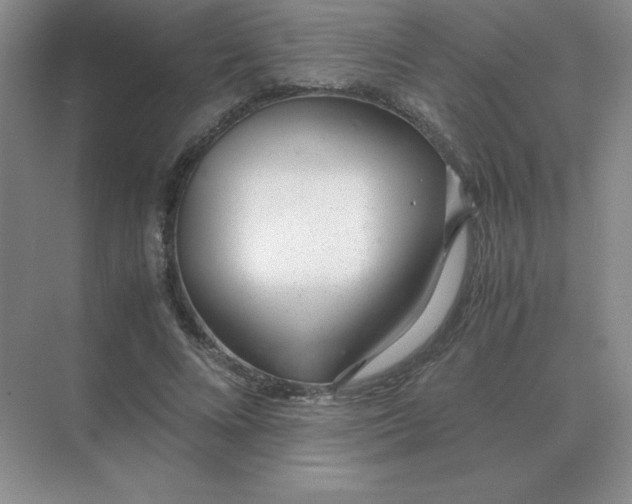 X0000071930688200607212134
