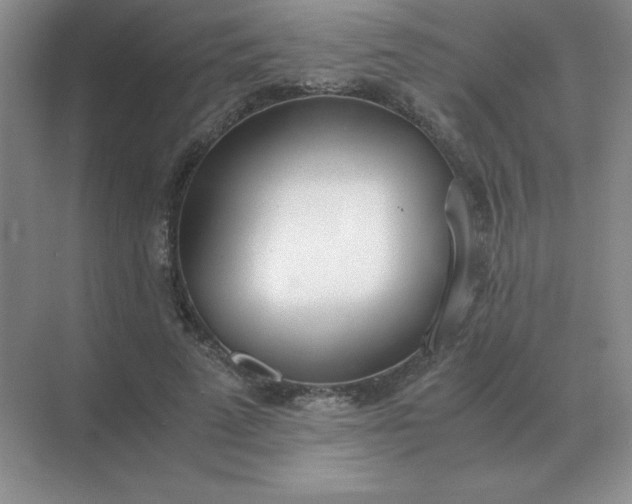 X0000071930689200607212134