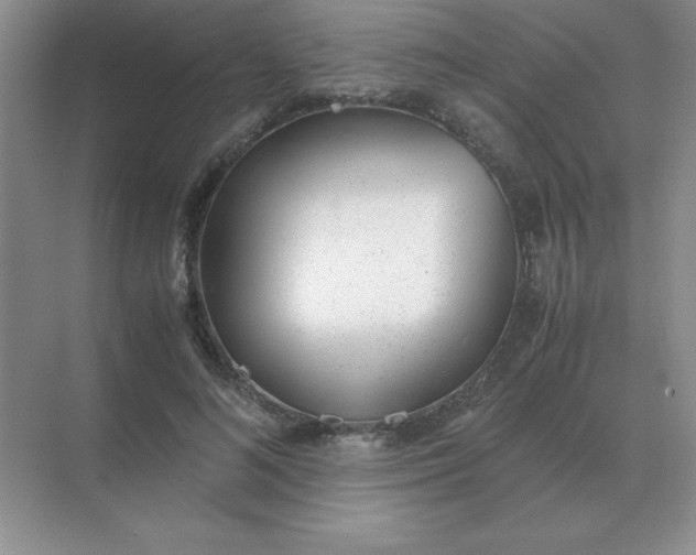 X0000071930692200607212134