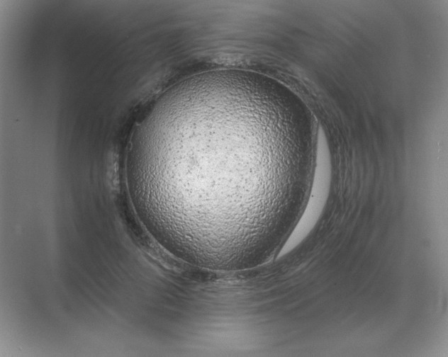 X0000071930696200607212134