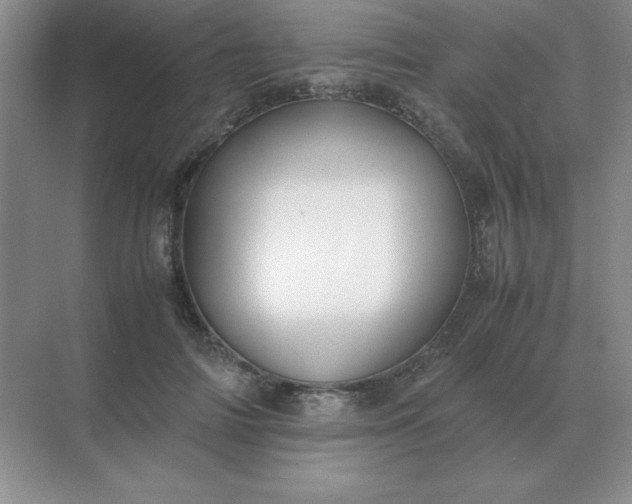 X0000071930698200607212134