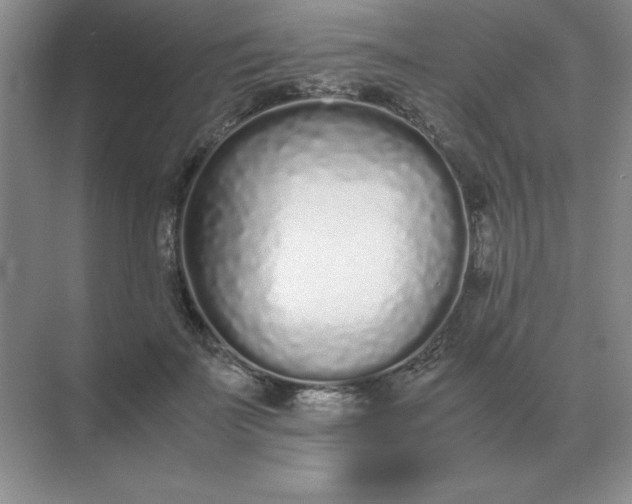 X0000071930699200607212134