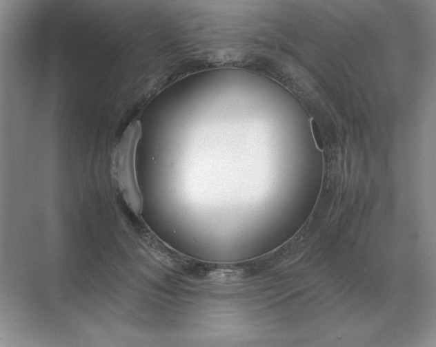 X0000071930700200607212134