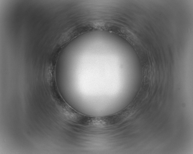 X0000071930702200607212134