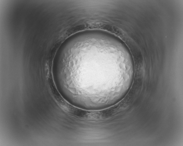 X0000071930703200607212134
