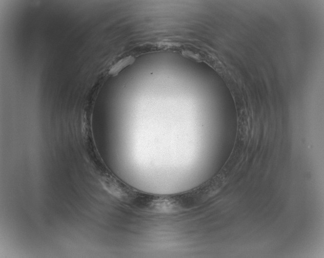 X0000071930704200607212134