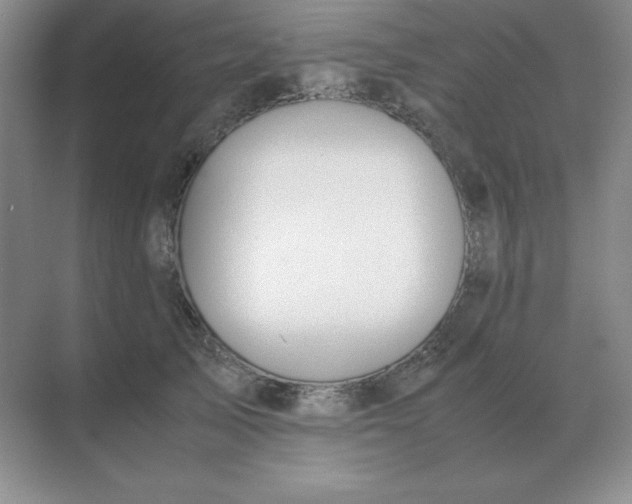 X0000071930705200607212134