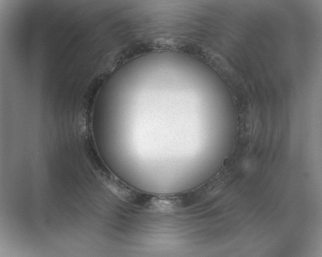 X0000071930706200607212134