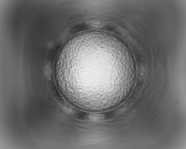 X0000071930707200607212134