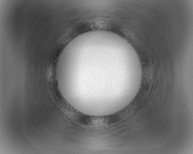 X0000071930709200607212134
