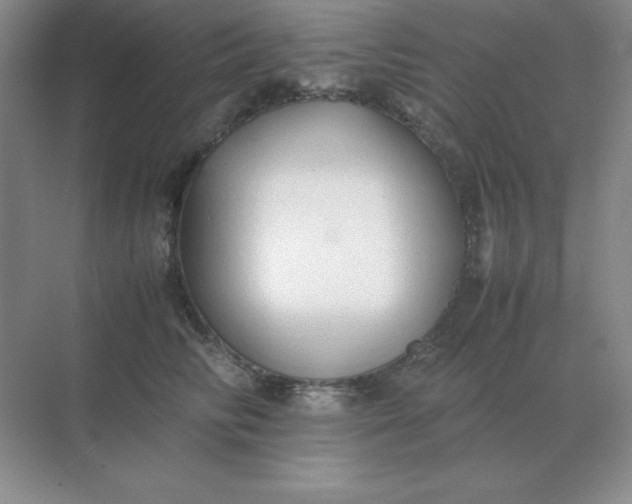 X0000071930710200607212134