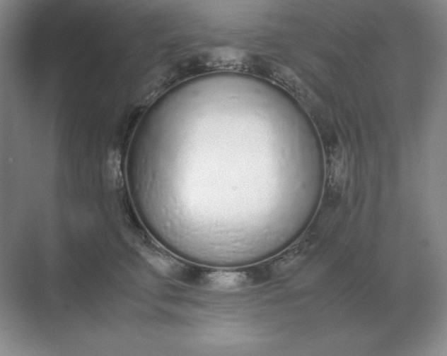 X0000071930711200607212134