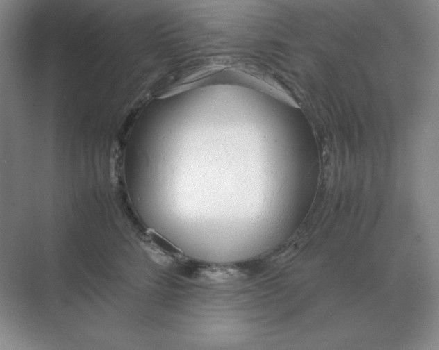 X0000071930712200607212134