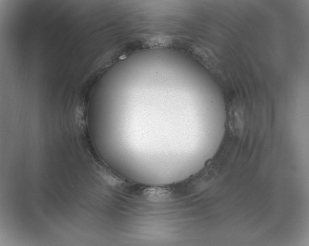 X0000071930714200607212134