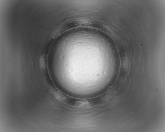 X0000071930715200607212134