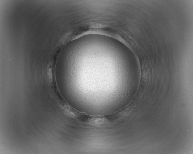 X0000071930716200607212134