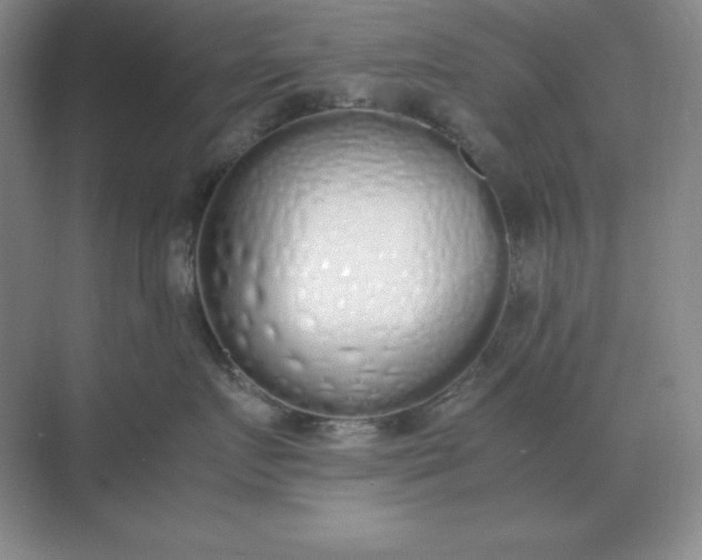 X0000071930719200607212134