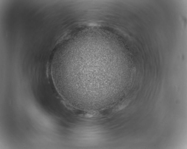 X0000071930720200607212134