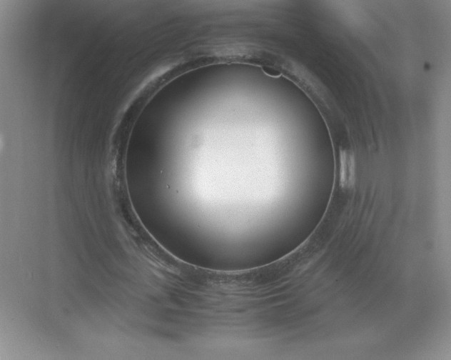X0000071930723200607212133