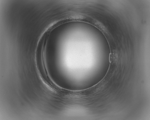 X0000071930726200607212133